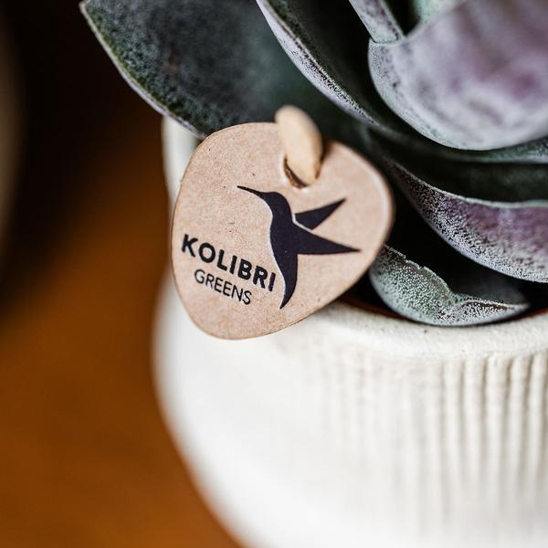 Bali sierpot  - Off White - Ø9cm