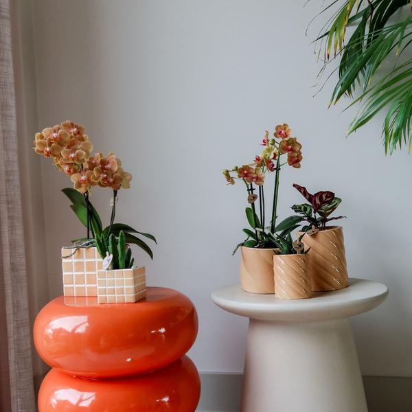 Kolibri Home | Candy Zierpot | Hoch - Pfirsich - Ø6cm