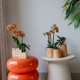 Kolibri Home | Candy Zierpot | Hoch - Pfirsich - Ø6cm