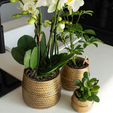 Kolibri Home | Pot de fleurs Groove - Pot décoratif en céramique dorée - taille du pot - Ø12cm