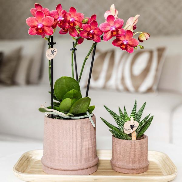 Bali sierpot  - Sand - Ø9cm