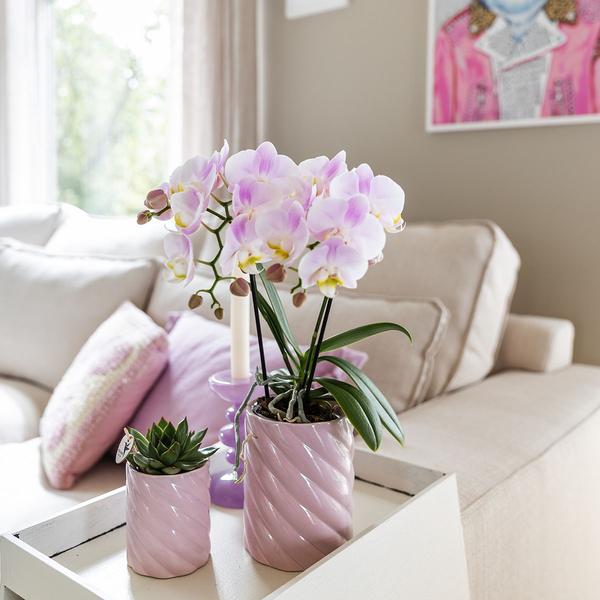 Kolibri Home | Candy Zierpot | Hoch - Pink - Ø6cm
