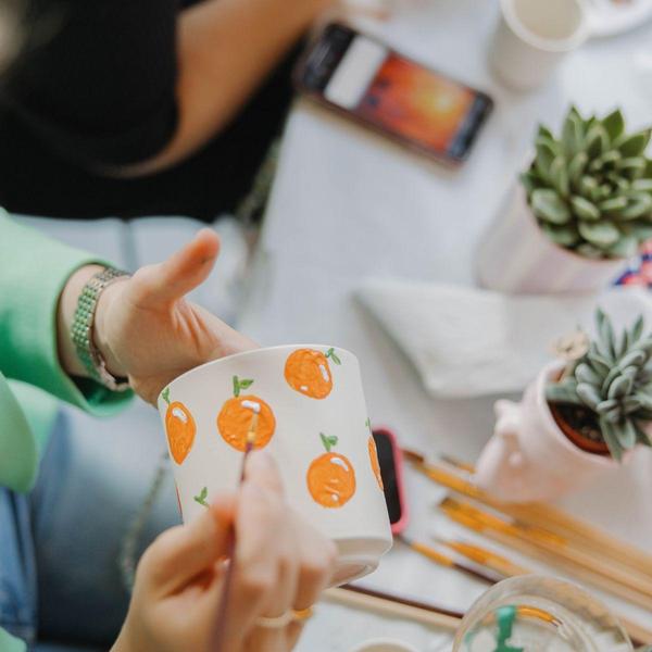 Verfpakket voor het schilderen van 4 bloempotten + succulenten