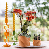 Kolibri Home | Candy Zierpot - Pfirsich - Ø6cm