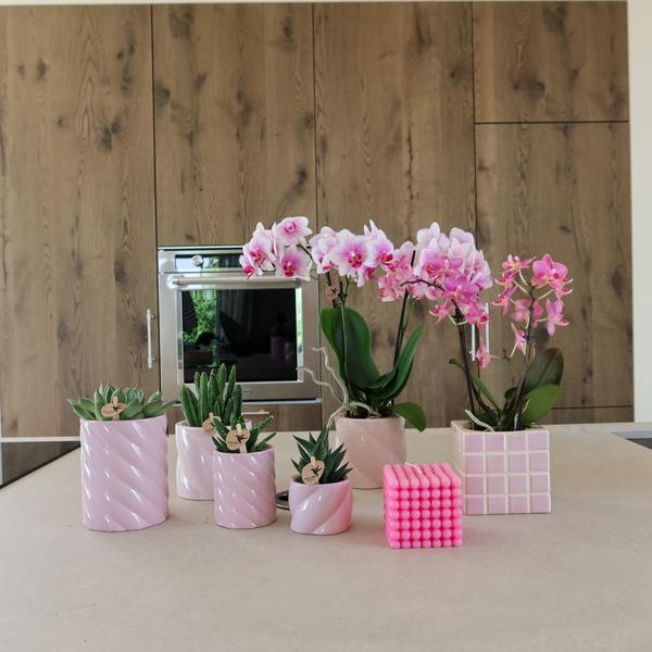 Kolibri Home | Candy Zierpot | Hoch - Pink - Ø6cm