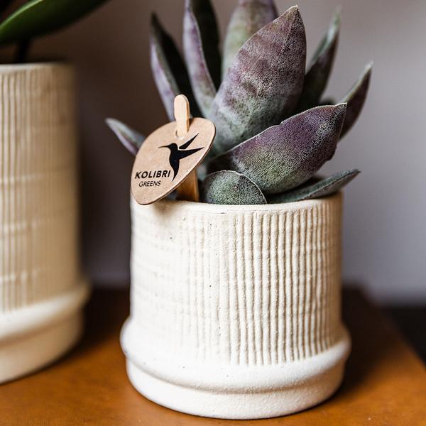 Bali sierpot  - Gebroken Wit - Ø6cm