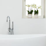 Witte Phalaenopsis orchidee - Jewel Ghent - potmaat Ø12cm