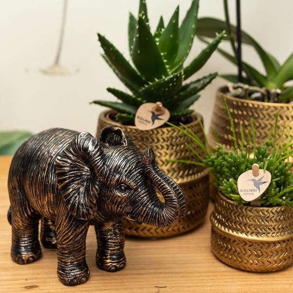 Kolibri Home | Pot de fleurs Groove - Pot décoratif en céramique dorée - taille du pot - Ø12cm