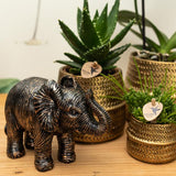 Kolibri Home | Pot de fleurs Groove - Pot décoratif en céramique dorée - taille du pot - Ø12cm