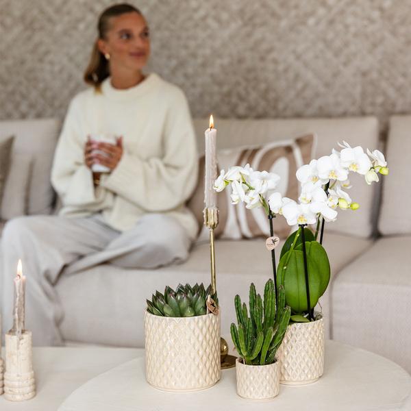 Kolibri Home | Pot décoratif perle diamant - Travertin - Ø6cm