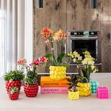 Kolibri Home | Pot Berry - 12cm