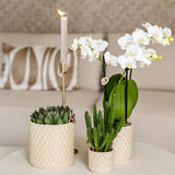 Kolibri Home | Pot décoratif perle diamant - Travertin - Ø6cm