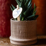 Bali sierpot  - Bruin - Ø6cm